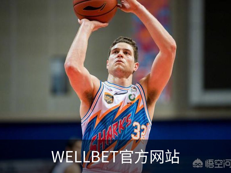 关于WELLBET官方网站